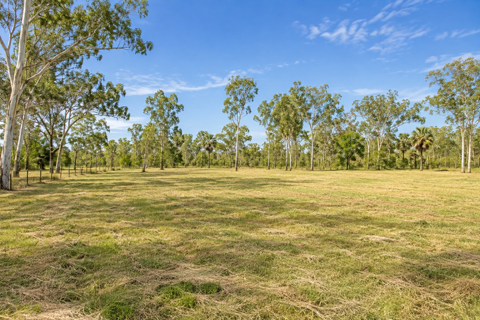 Open grassy rural block with mature trees in Darwin's rural area