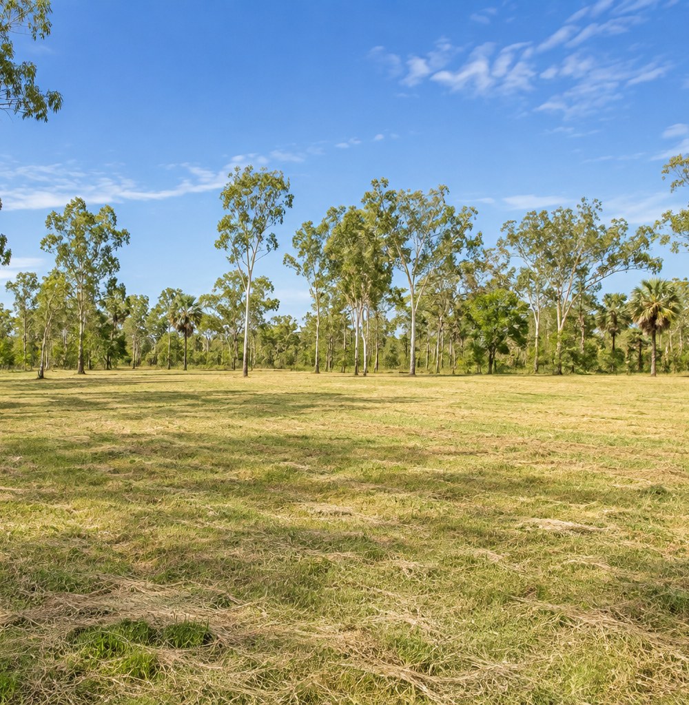 Grass and trees on a spacious rural Northern Territory property